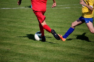 mk体育全站-中国足球青训联盟举办多层次足球比赛，中国足协青训中心