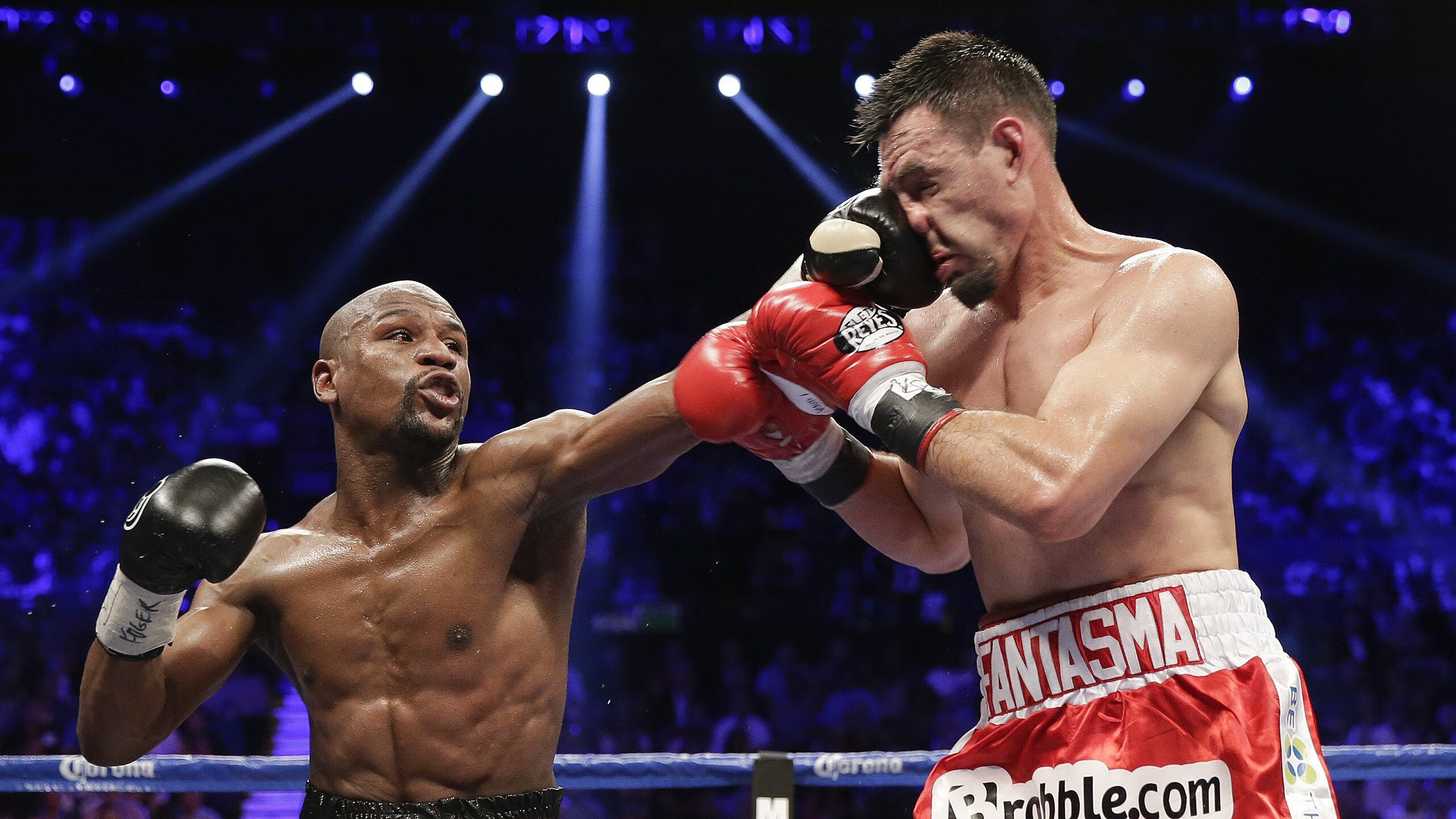 mk体育官网入口-台风过后惠州海滩刷屏，海鲜大丰收！，惠州的台风要什么时候来什么时候走